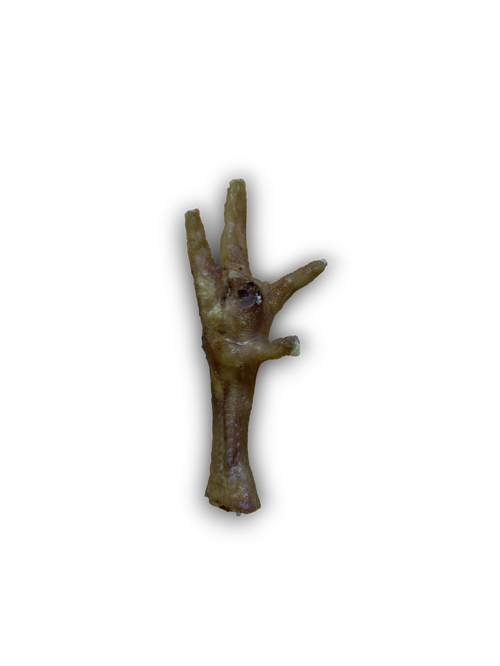 Anco Chicken Foot