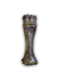 JR Cow Leg