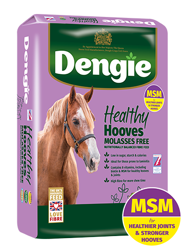 Dengie Healthy Hooves Molasses Free