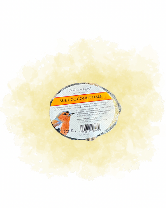 Johnston & Jeff Suet Coconut Half