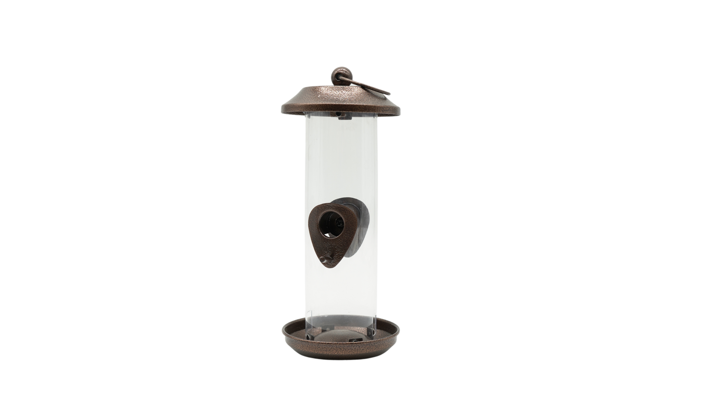 Johnston & Jeff New Orleans Seed Feeder Medium