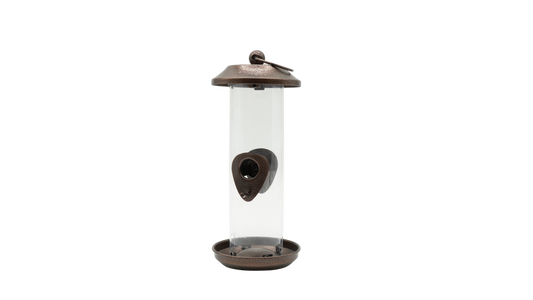 Johnston & Jeff New Orleans Seed Feeder Medium