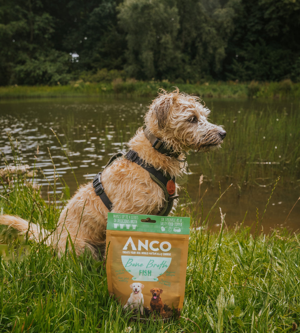 Anco Fish Bone Broth 120g