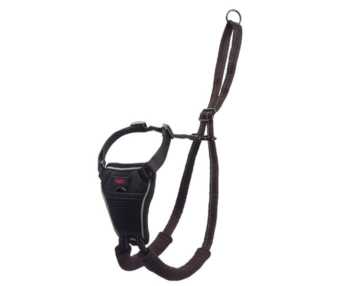 COA Halti No Pull Harness Medium
