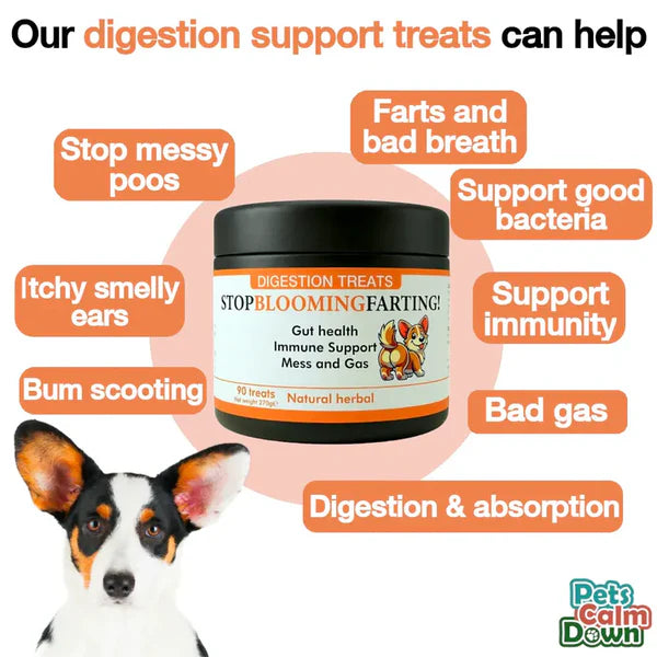 "Stop Blooming Farting" Treats Chicken Flavour 90 Tablets