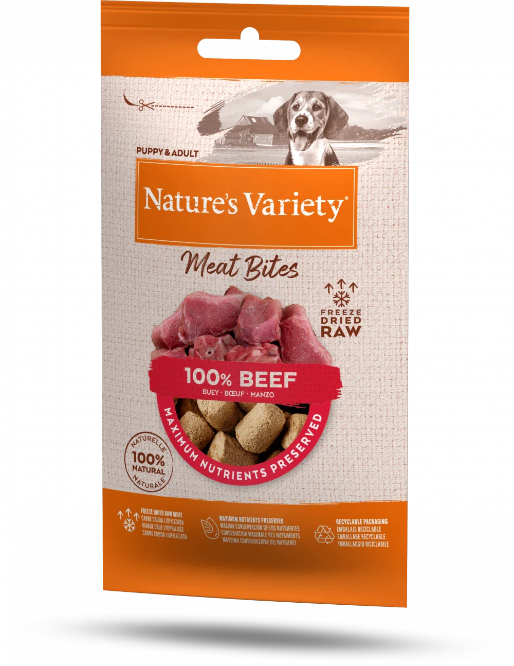 Natures Variety Freeze Dried Meat Bites Beef 20g