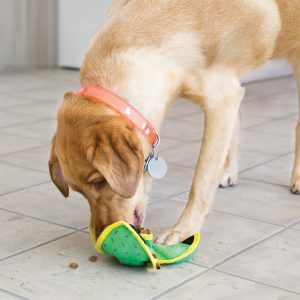 KONG Ballistic Hide 'N Treat Durable Dog Toy Large - Assorted