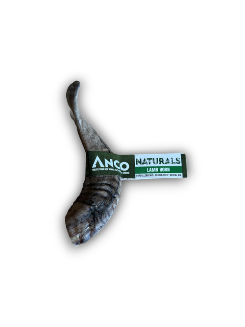 Anco Lamb Horn