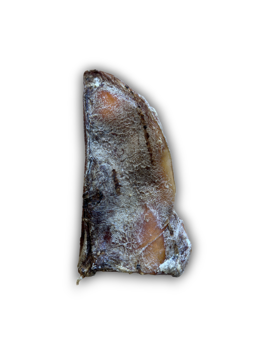 Anco Moon Bone (Large)