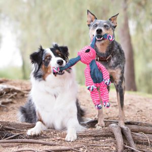 KONG Floppy Knots Elephant Squeaky Tug Dog Toy - Medium/Large