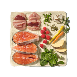 Natures Menu Frozen Complete & Balanced 80/20 Block - Salmon & Chicken 500g