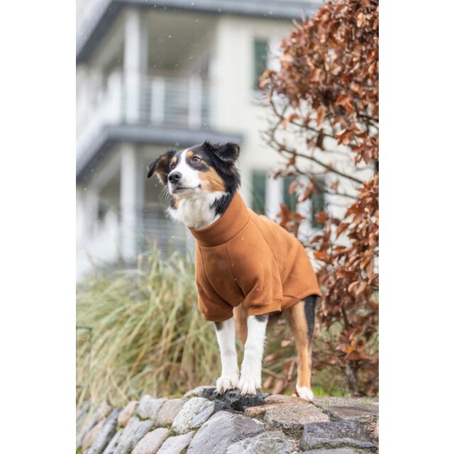 Trixie Sweatshirt CityStyle Amsterdam - Rust