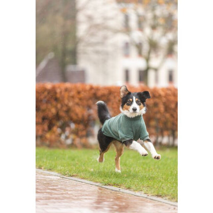 Trixie Sweatshirt CityStyle Amsterdam - Dark Green