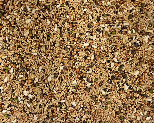 Johnston & Jeff Poultry Tonic Seed 12.75kg