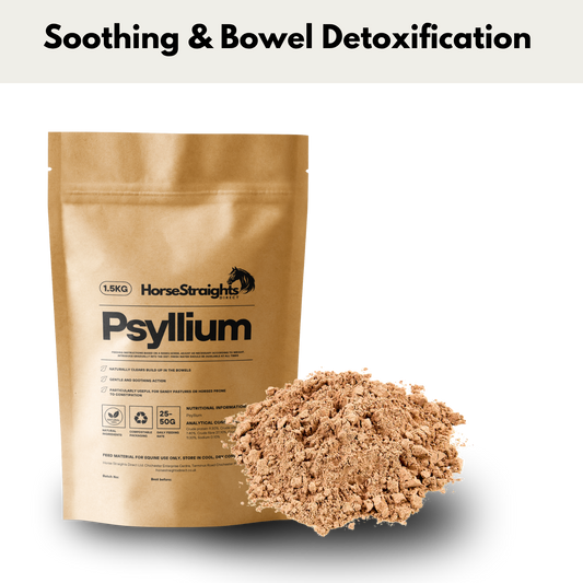 Psyllium
