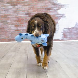 KONG Dynos Roars Squeaky Dog Toy Medium/Large - Blue