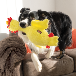 KONG Scruffs Chicken Squeaky Plush Dog Toy - Medium/Large