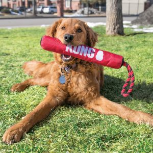 KONG Signature Stick with Rope Durable Tug Dog Toy - Medium
