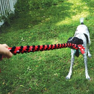 KONG Signature Rope 20" Dual Knot Durable Tug Dog Toy