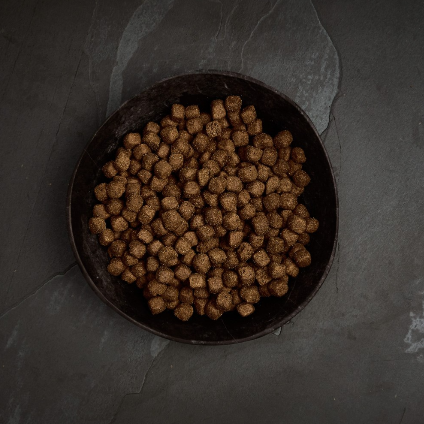 Canagan Dental Dry Dog Food 6kg