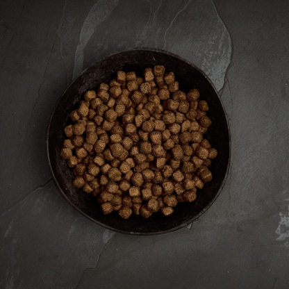 Canagan Dental Dry Dog Food 6kg