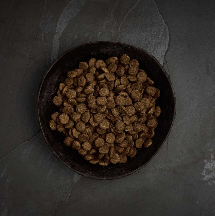 Canagan Scottish Salmon Dry Dog Food 6kg