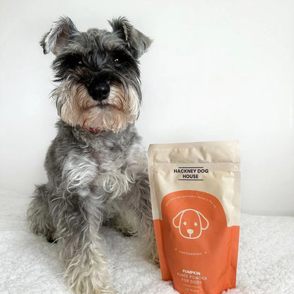 Hackney Dog House Pumpkin Puree Powder 225g