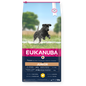 Eukanuba Junior Large Breed Fresh Chicken 12kg