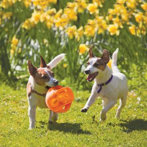 KONG Jumbler Ball Squeaky Fetch Dog Toy - Large/X-Large