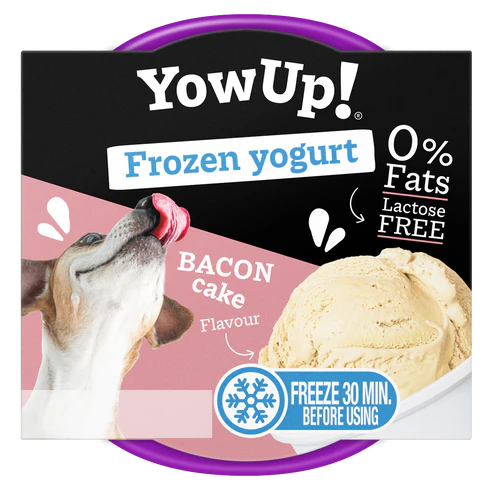 YowUp Ice Cream Yogurt 110g