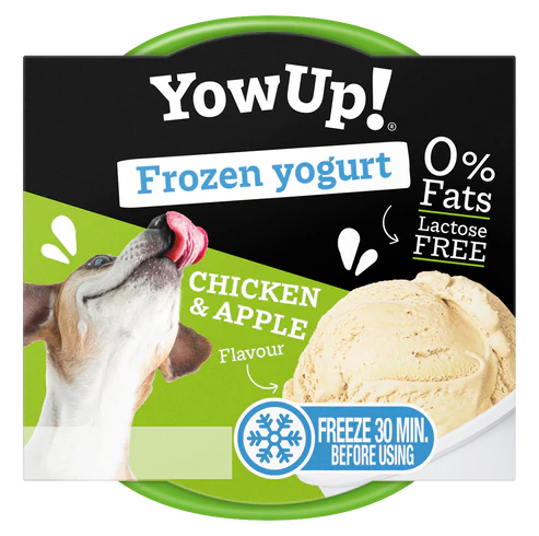 YowUp Ice Cream Yogurt 110g