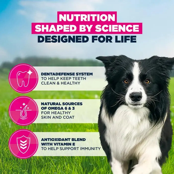 Eukanuba Active Adult Medium Breed Chicken 3kg