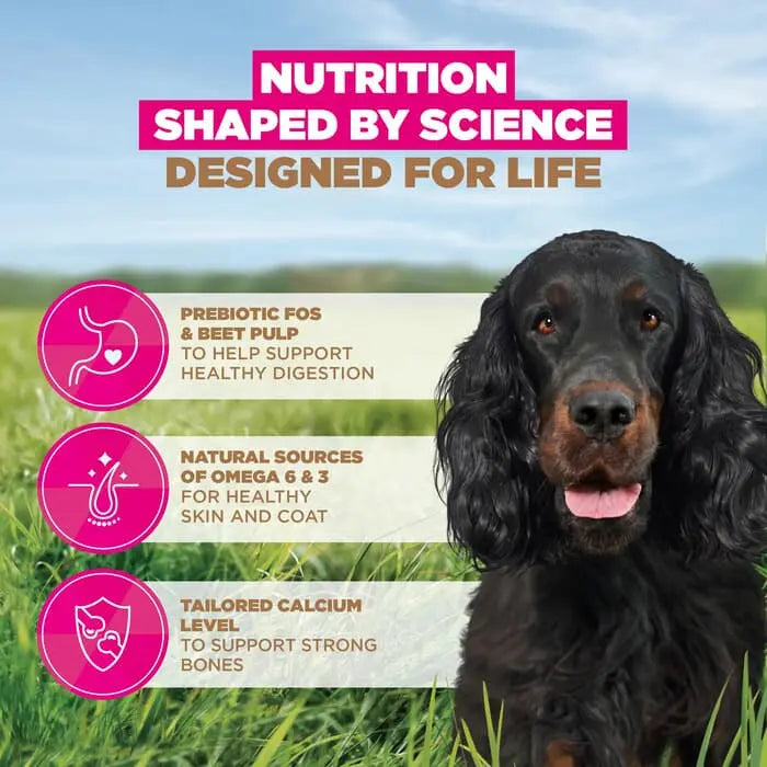 Eukanuba Grain Free Venison Adult Dog Food 12kg