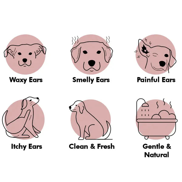 "Stop Bloody Scratching" Waxy Ear Wash 118ml