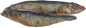K9 Co. Sprats 100g