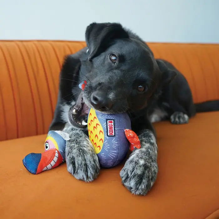 KONG Ballistic Vibez Birds Toy