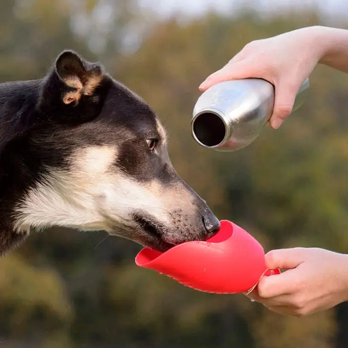 KONG H2O Stainless Steel Dog Water Bottle Red 25oz