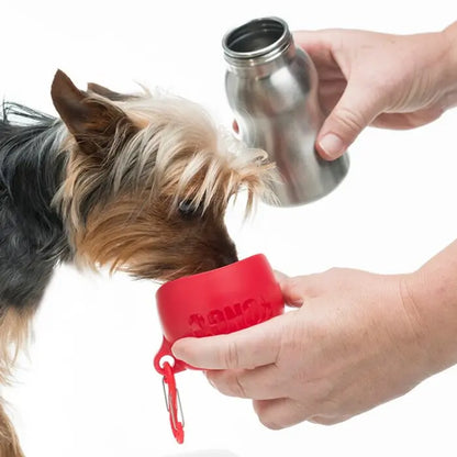 KONG H2O Stainless Steel Dog Water Bottle Red 9.5oz