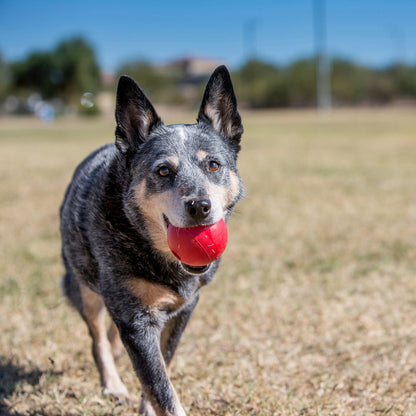 KONG Ball Durable Dog Toy Medium/Large 7.6cm - Red
