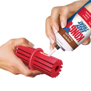 KONG Dental Stick Durable Dog Chew Toy Large