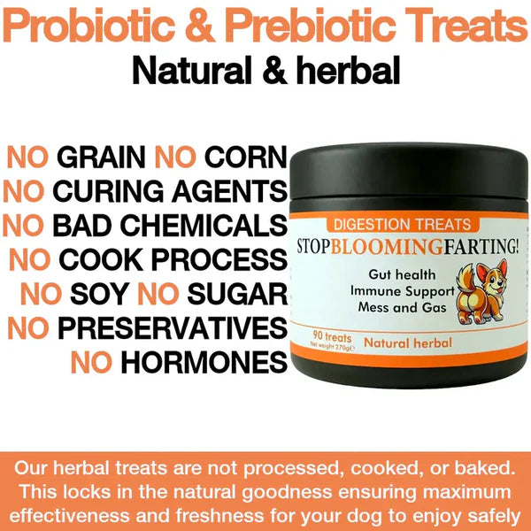 "Stop Blooming Farting" Treats Chicken Flavour 90 Tablets