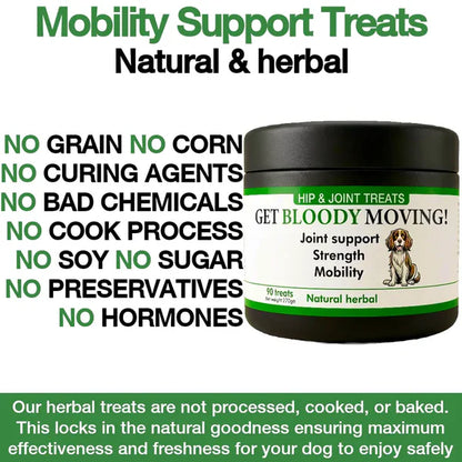 "Get Bloody Moving" Treats Chicken Flavour 90 Tablets