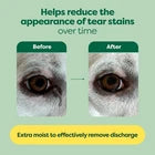 Earth Rated Pet Eye Wipes