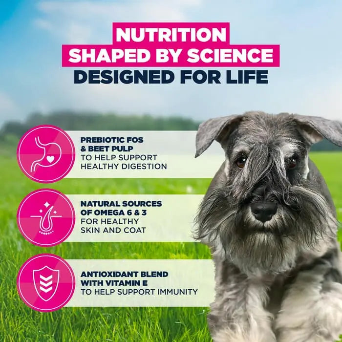 Eukanuba Adult Small Breed Chicken Dog Food 3kg