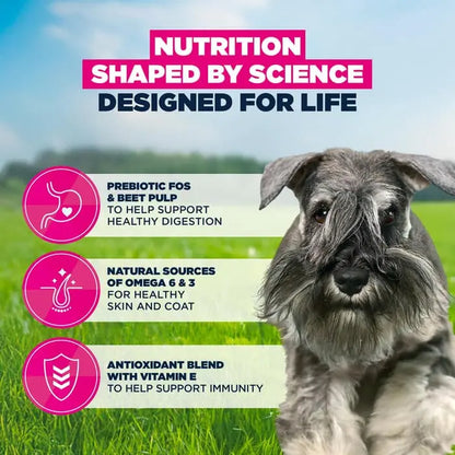 Eukanuba Adult Small Breed Chicken Dog Food 3kg