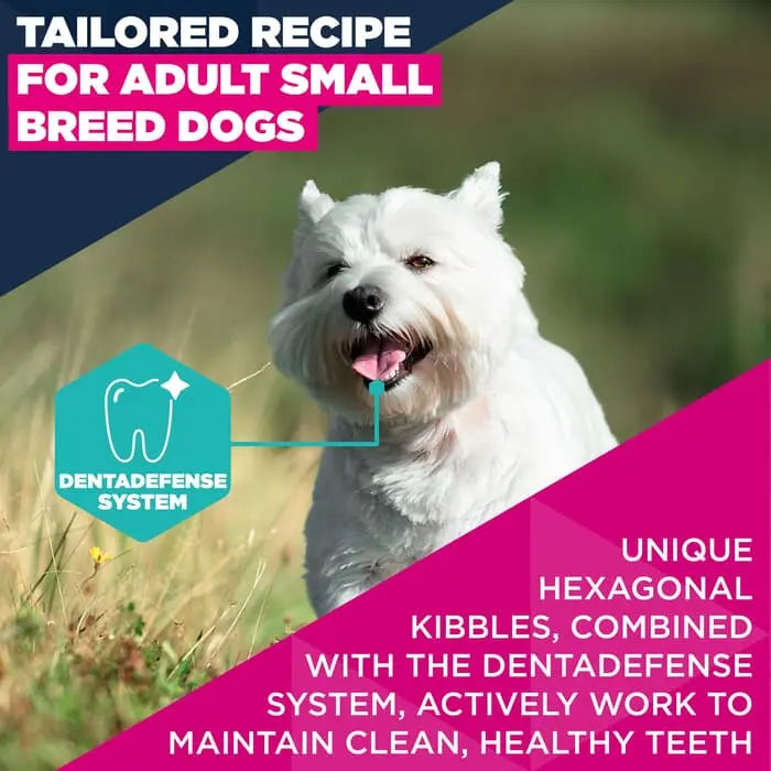 Eukanuba Adult Small Breed Chicken Dog Food 3kg