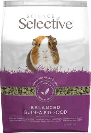 Science Selective Guinea Pig