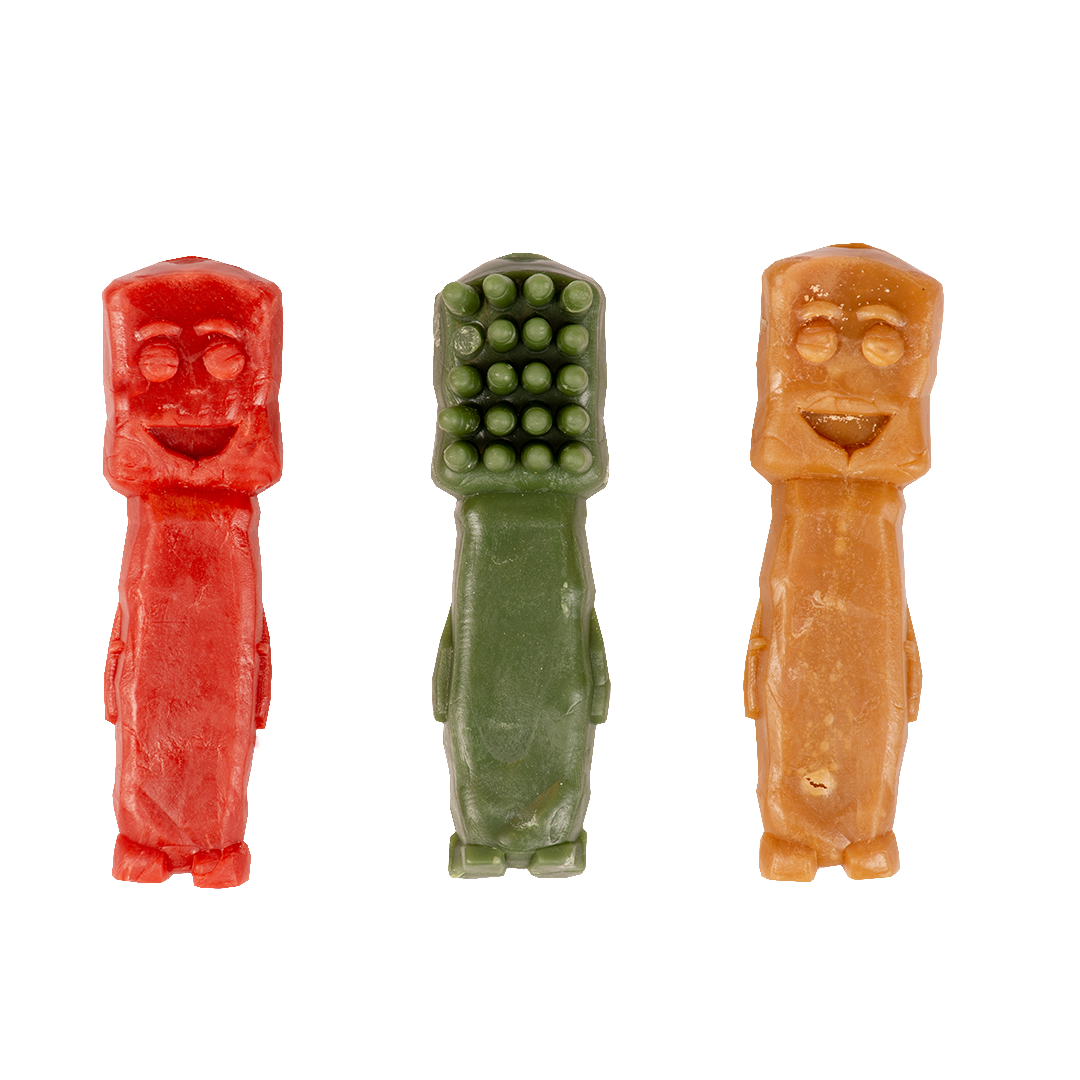 Garden Bites Toby ToothBrush Large - 10cm