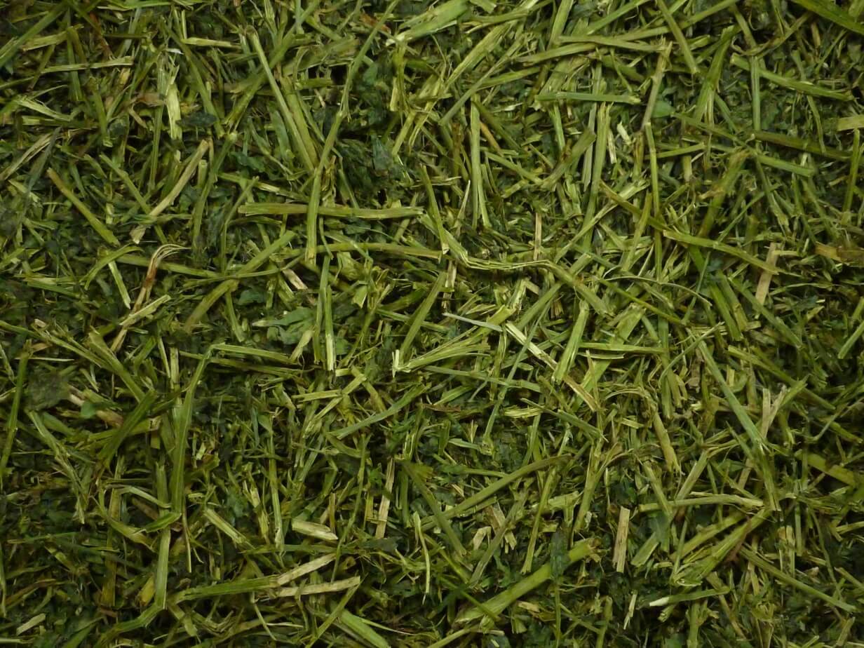 Friendly Alfalfa Readigrass 1kg