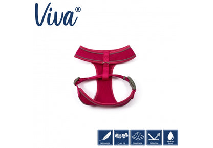 Ancol Viva Comfort Harness